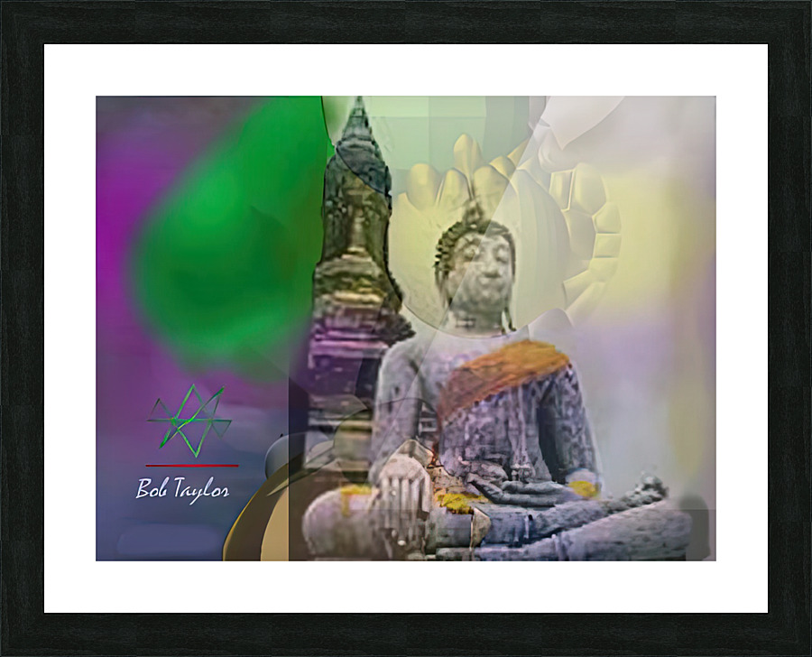 155astralmedMS Picture Frame print