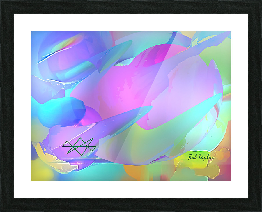 177SalamineMS Picture Frame print