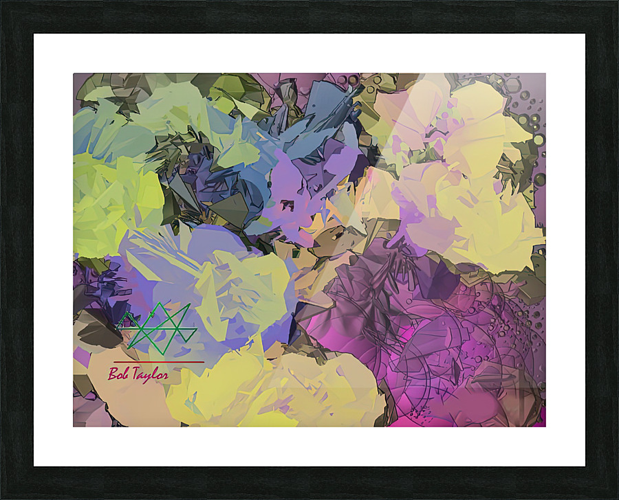 171ImpasseMS Picture Frame print