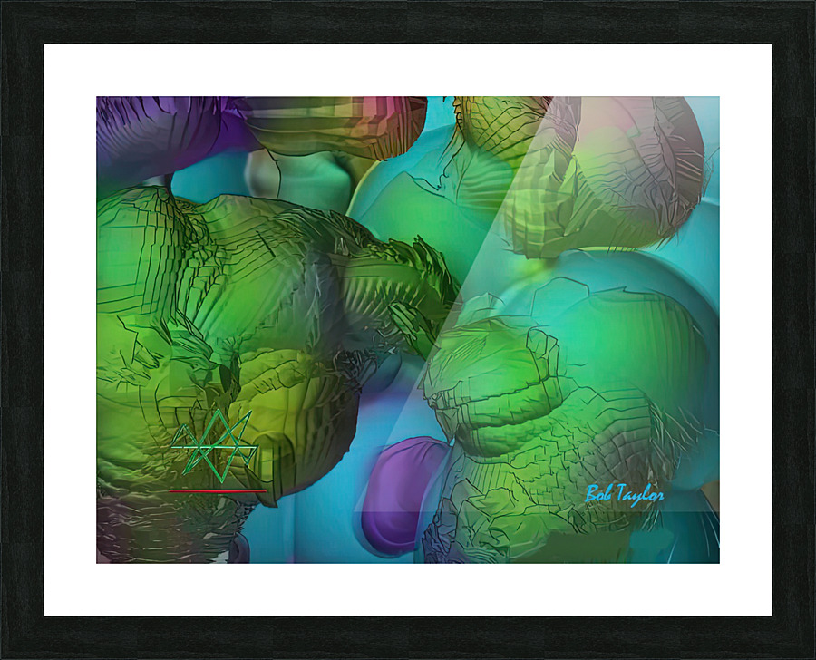 226GrappledorMS Picture Frame print