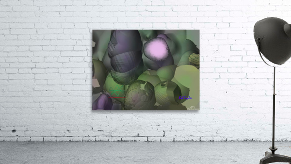 236RadiantStarMS Wall Preview