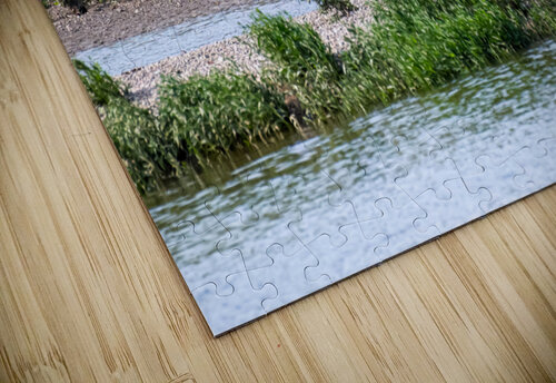Eagles in a river  Wild TS designs puzzle