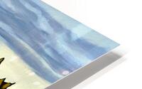 Heron Island HD Metal print