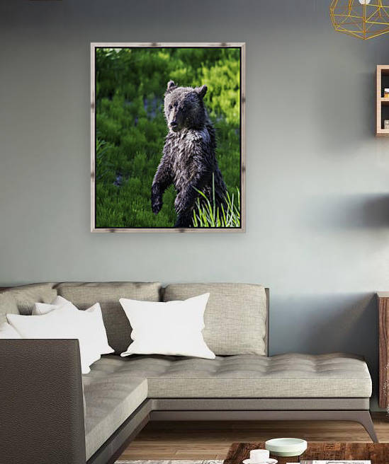 A grizzly cub named Pepper by Daryl L Hunter