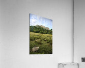 Stirling Castle Acrylic Print
