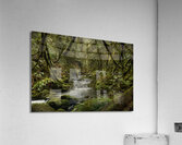 Goldstream River Acrylic Print