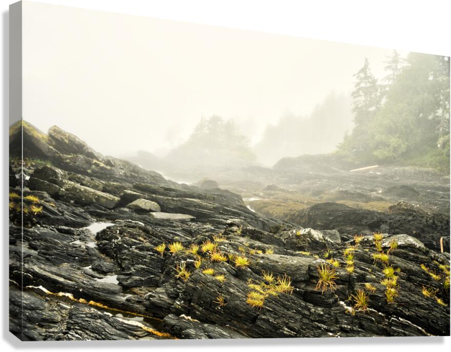 Botanical Beach 02 Canvas Print