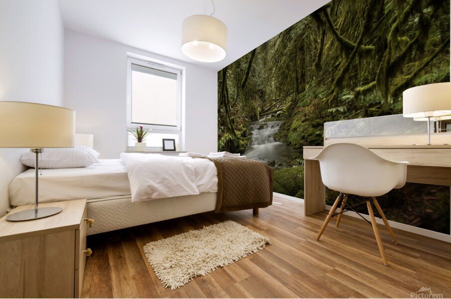 Goldstream River Mural print