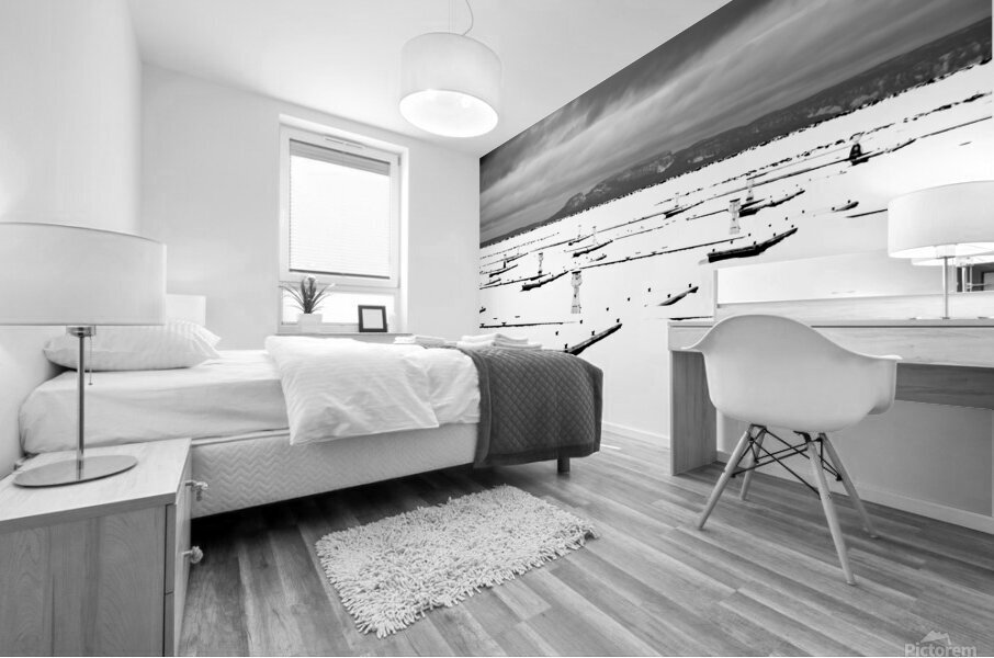 Winter Sleeping Giant Mural print