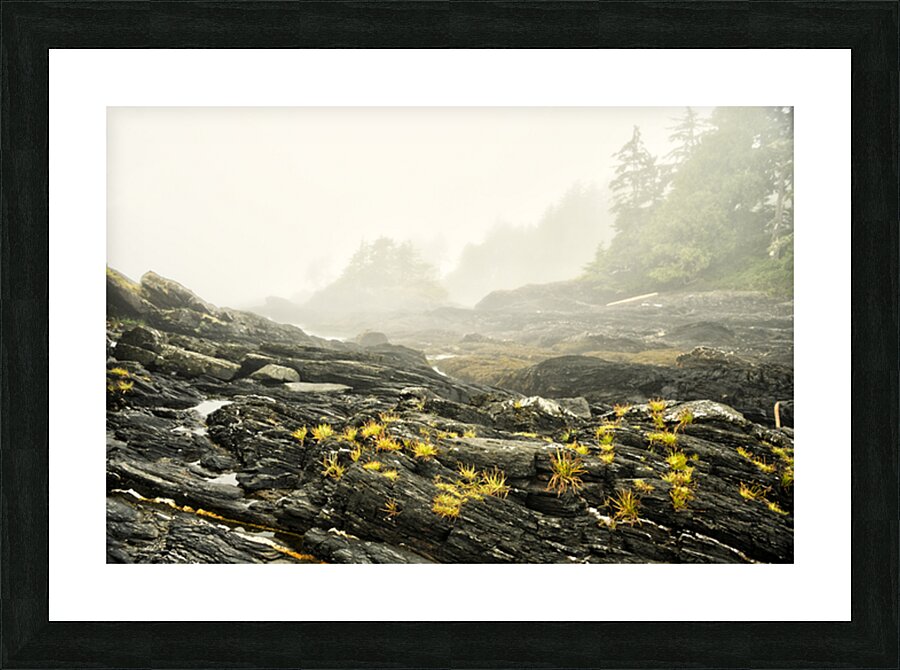 Botanical Beach 02 Picture Frame print