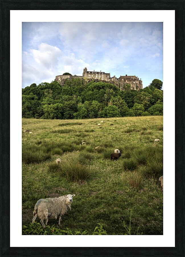 Stirling Castle Picture Frame print