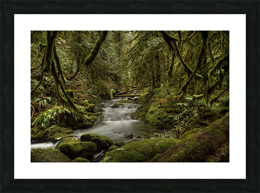 Goldstream River Picture Frame print