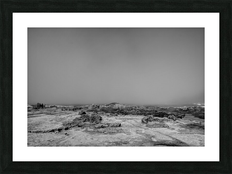 Botanical Beach 01 Picture Frame print