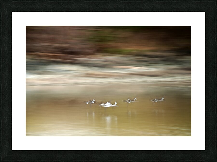 Abstract 001 Picture Frame print