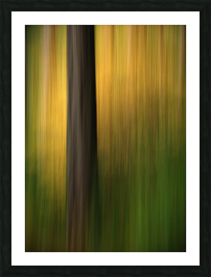 Abstract 003 Picture Frame print