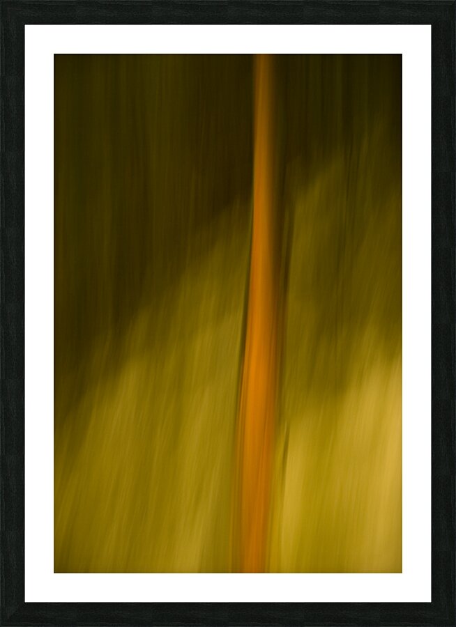 Abstract 004 Picture Frame print