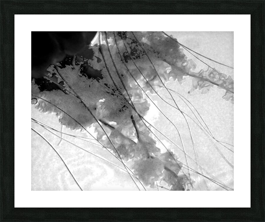 Abstract 011 Picture Frame print