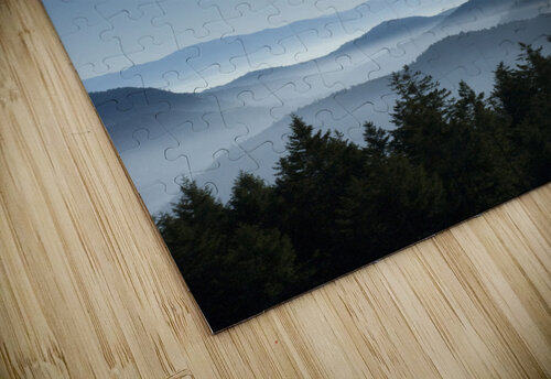 Malahat View Kevin MacTavish puzzle