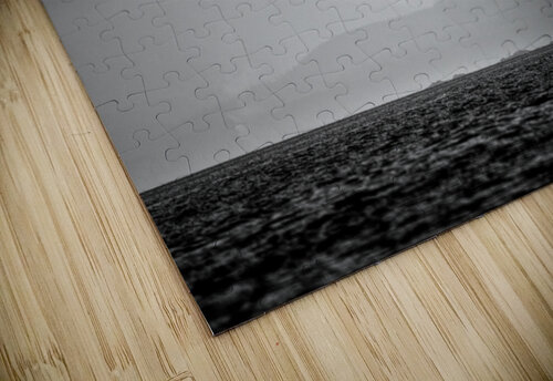 Whitties Lagoon Kevin MacTavish puzzle