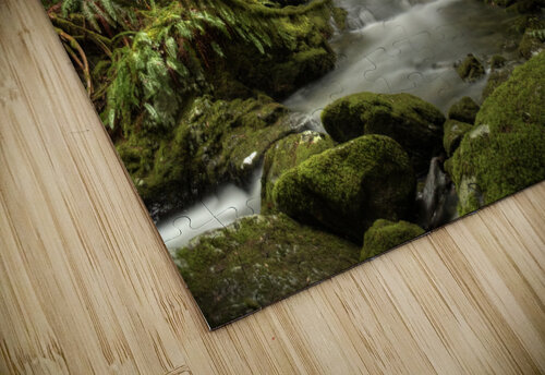 Goldstream River Kevin MacTavish puzzle