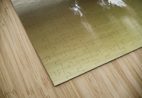 Abstract 002 Kevin MacTavish puzzle