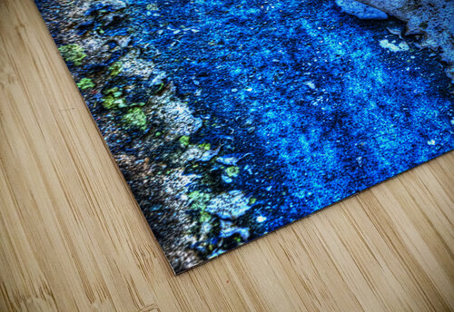 Abstract 008 Kevin MacTavish puzzle