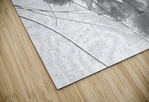 Abstract 011 Kevin MacTavish puzzle