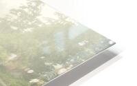 Botanical Beach 02 HD Metal print