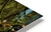 Goldstream River HD Metal print