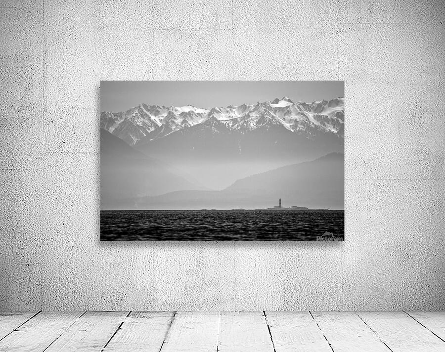 Whitties Lagoon Wall Preview