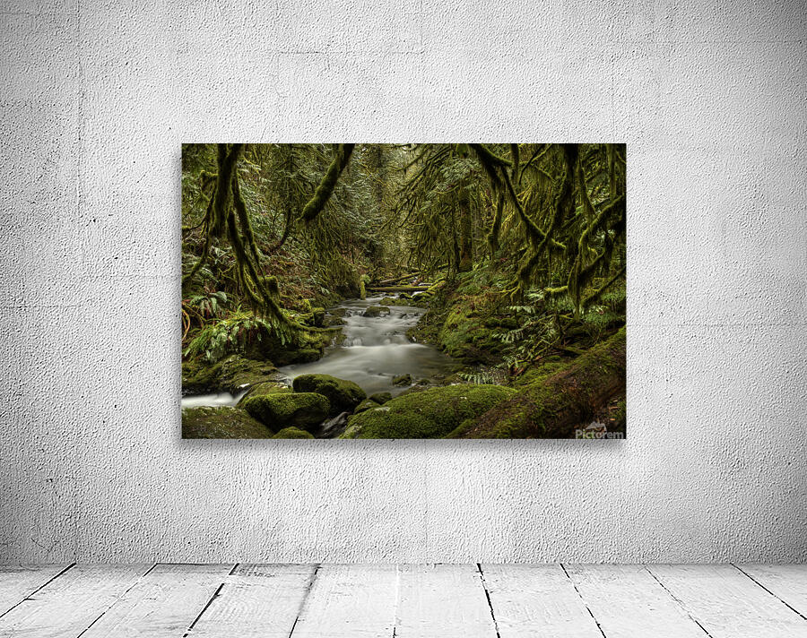 Goldstream River Wall Preview