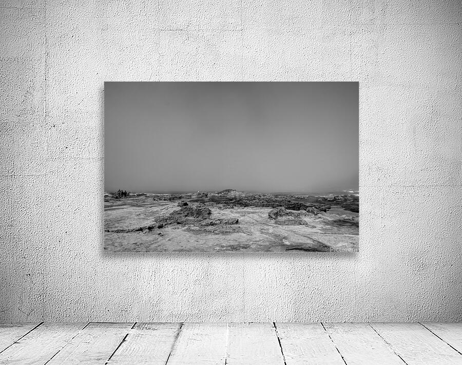 Botanical Beach 01 Wall Preview