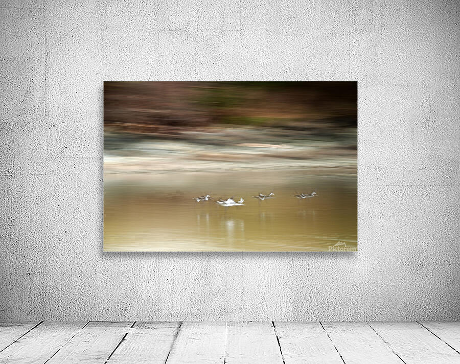 Abstract 001 Wall Preview
