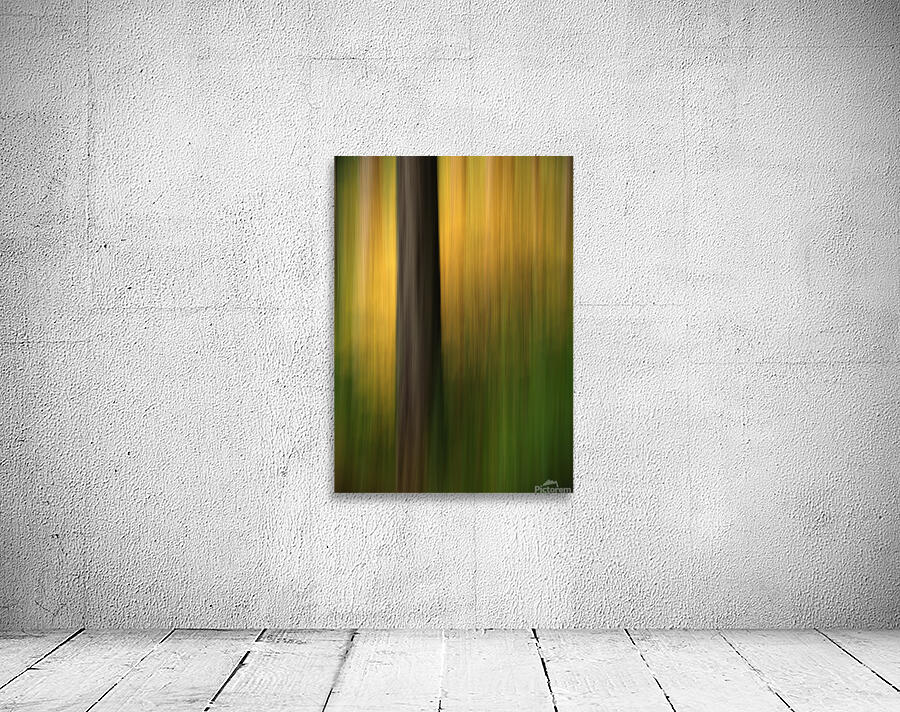 Abstract 003 Wall Preview
