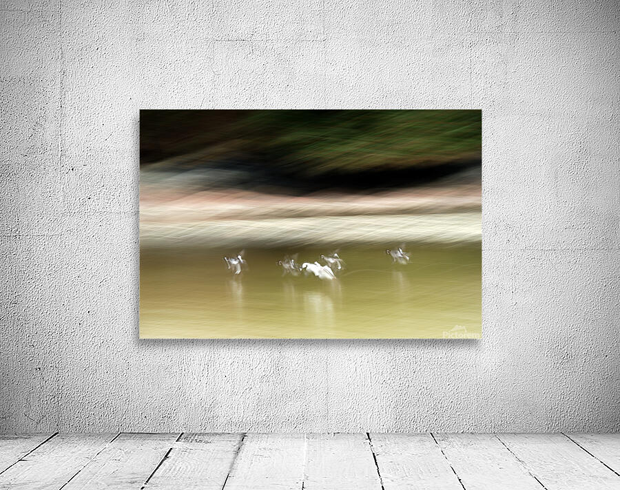 Abstract 002 Wall Preview