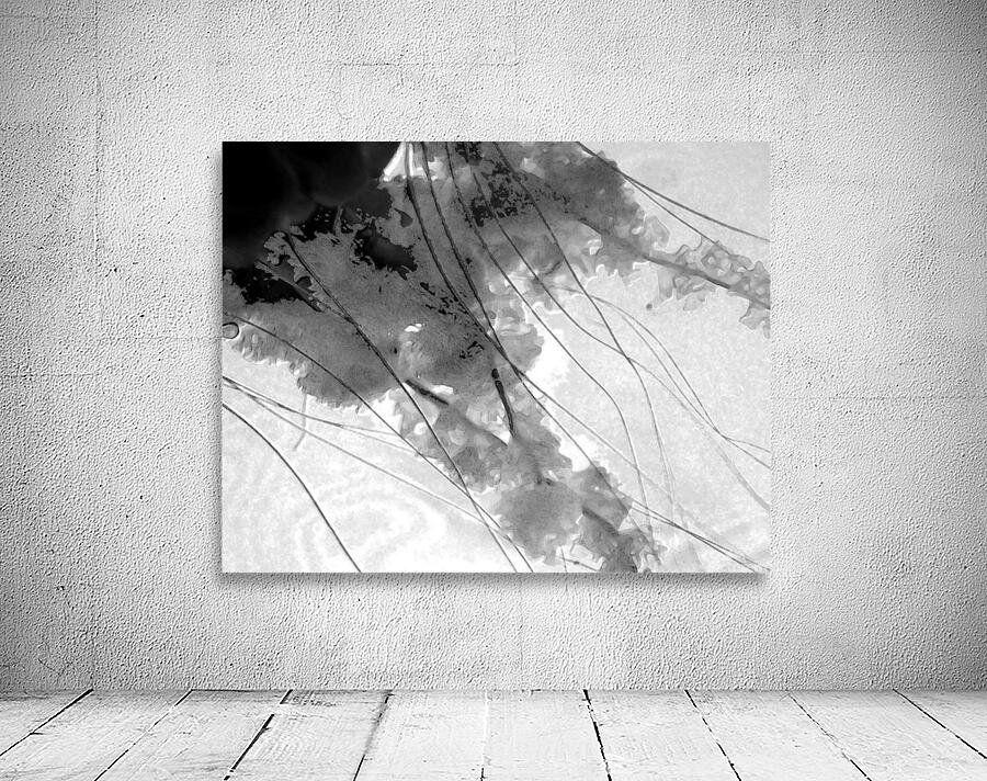 Abstract 011 Wall Preview