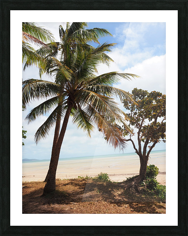 CAPE YORK TIP Picture Frame Printing