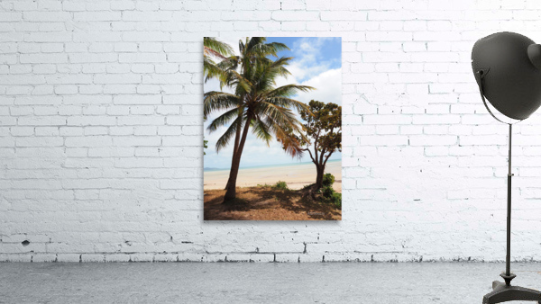 CAPE YORK TIP Wall Preview