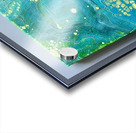 IMG 9255 Acrylic print