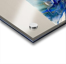 IMG 0995 Acrylic print