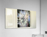 IMG 0859 Acrylic Print