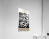 IMG 0759 Acrylic Print
