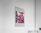 IMG 2359 Acrylic Print