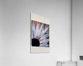 IMG 2704 Acrylic Print