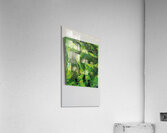 IMG 2358 Acrylic Print