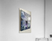 IMG 2277 Acrylic Print