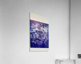 IMG 2269 Acrylic Print