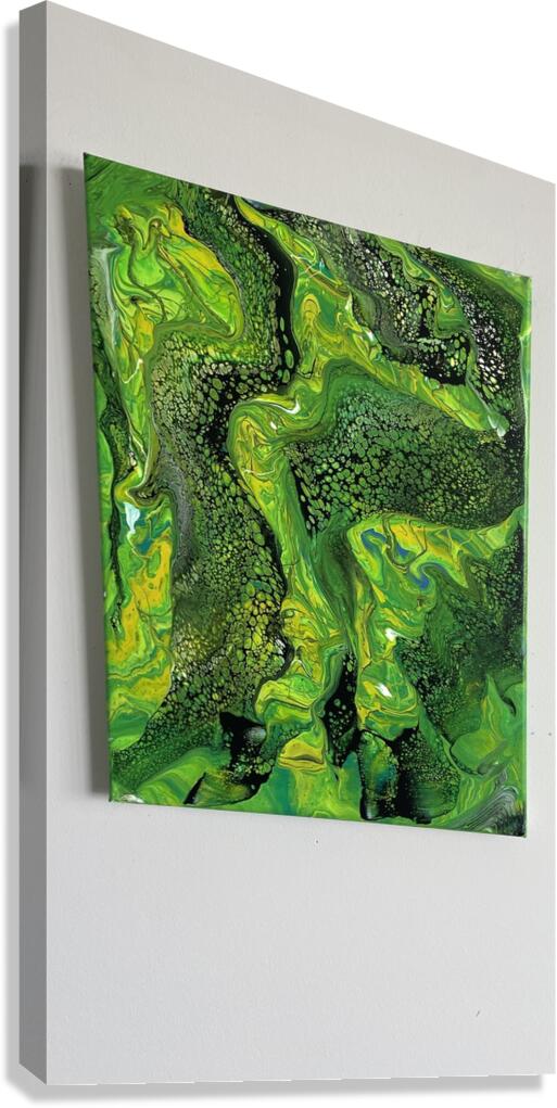 IMG 2358 Canvas Print
