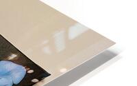 IMG 9662 HD Metal print