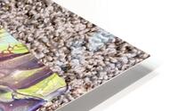 IMG 9669 HD Metal print